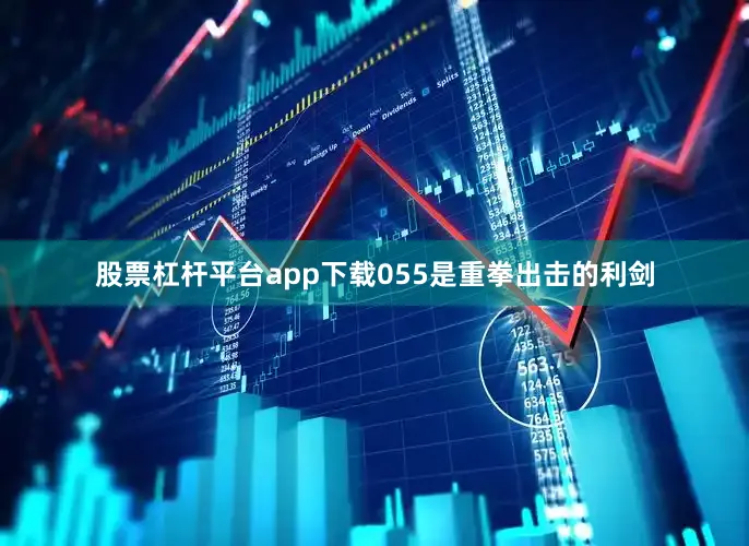 股票杠杆平台app下载055是重拳出击的利剑