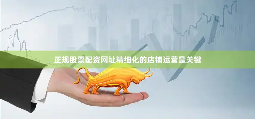 正规股票配资网址精细化的店铺运营是关键