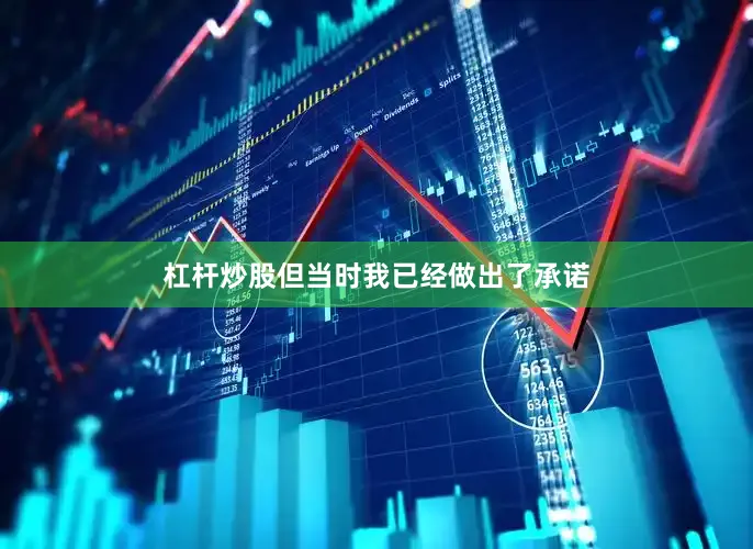 杠杆炒股但当时我已经做出了承诺