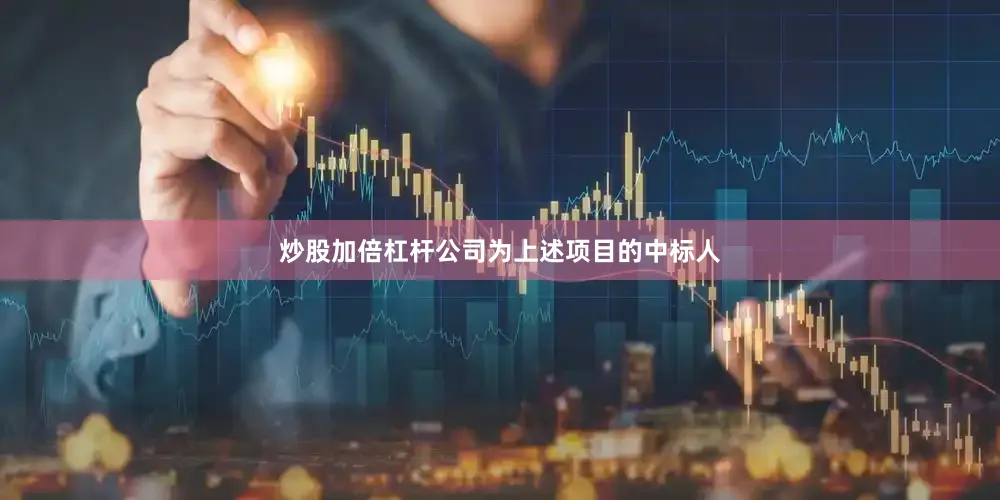 炒股加倍杠杆公司为上述项目的中标人