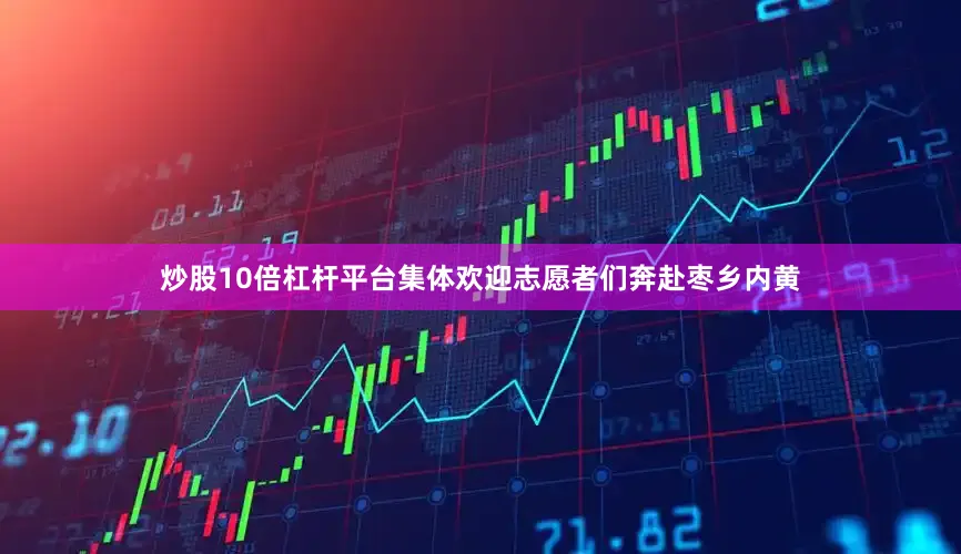 炒股10倍杠杆平台集体欢迎志愿者们奔赴枣乡内黄